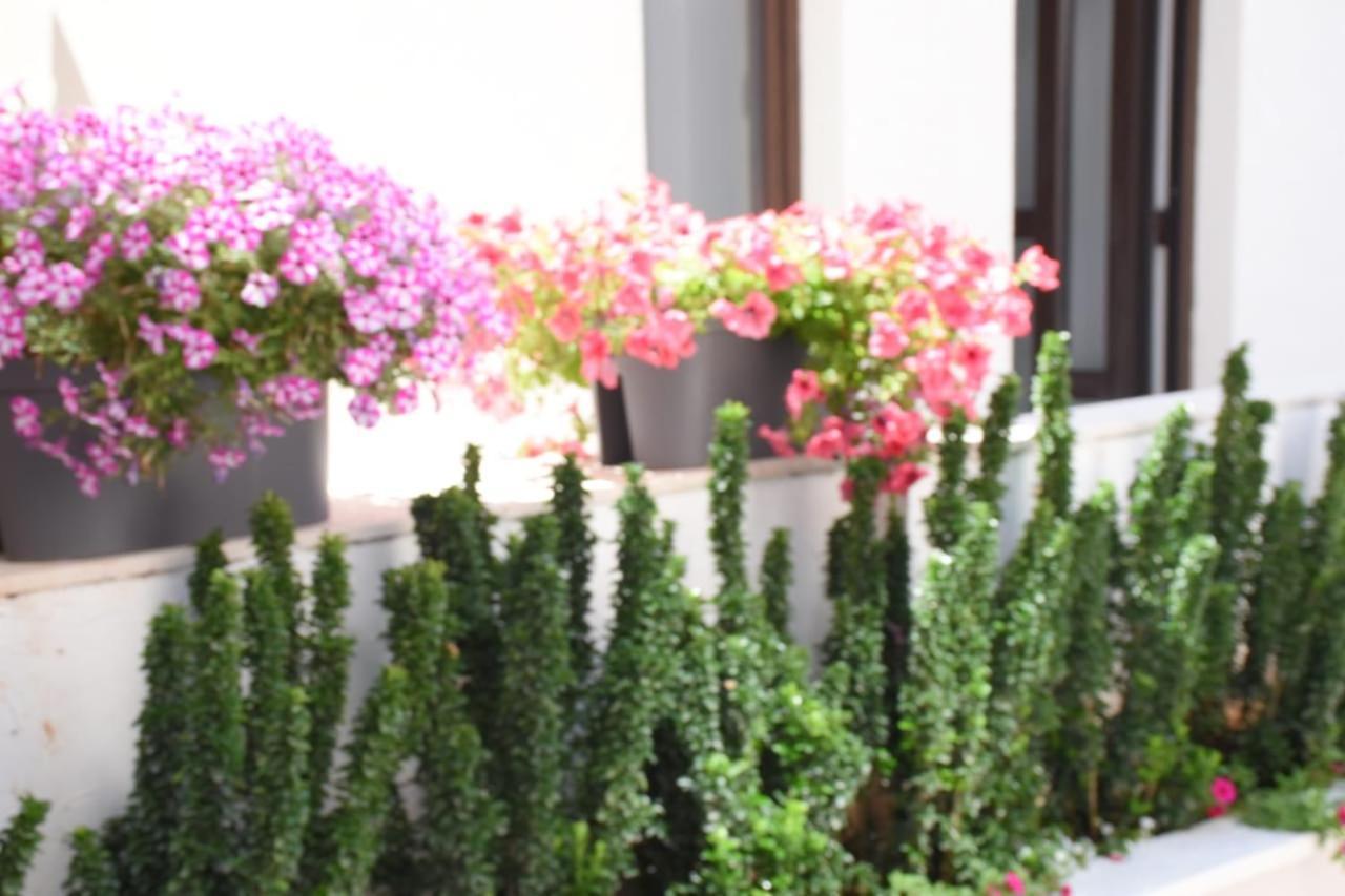 Apartments Petar Μπούντβα Εξωτερικό φωτογραφία